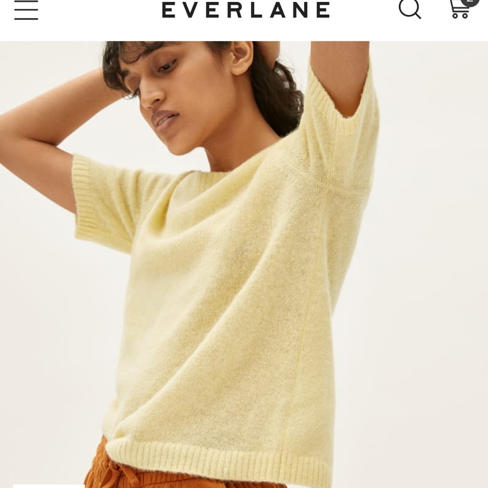 Everlane Alpaca Sweater Tee